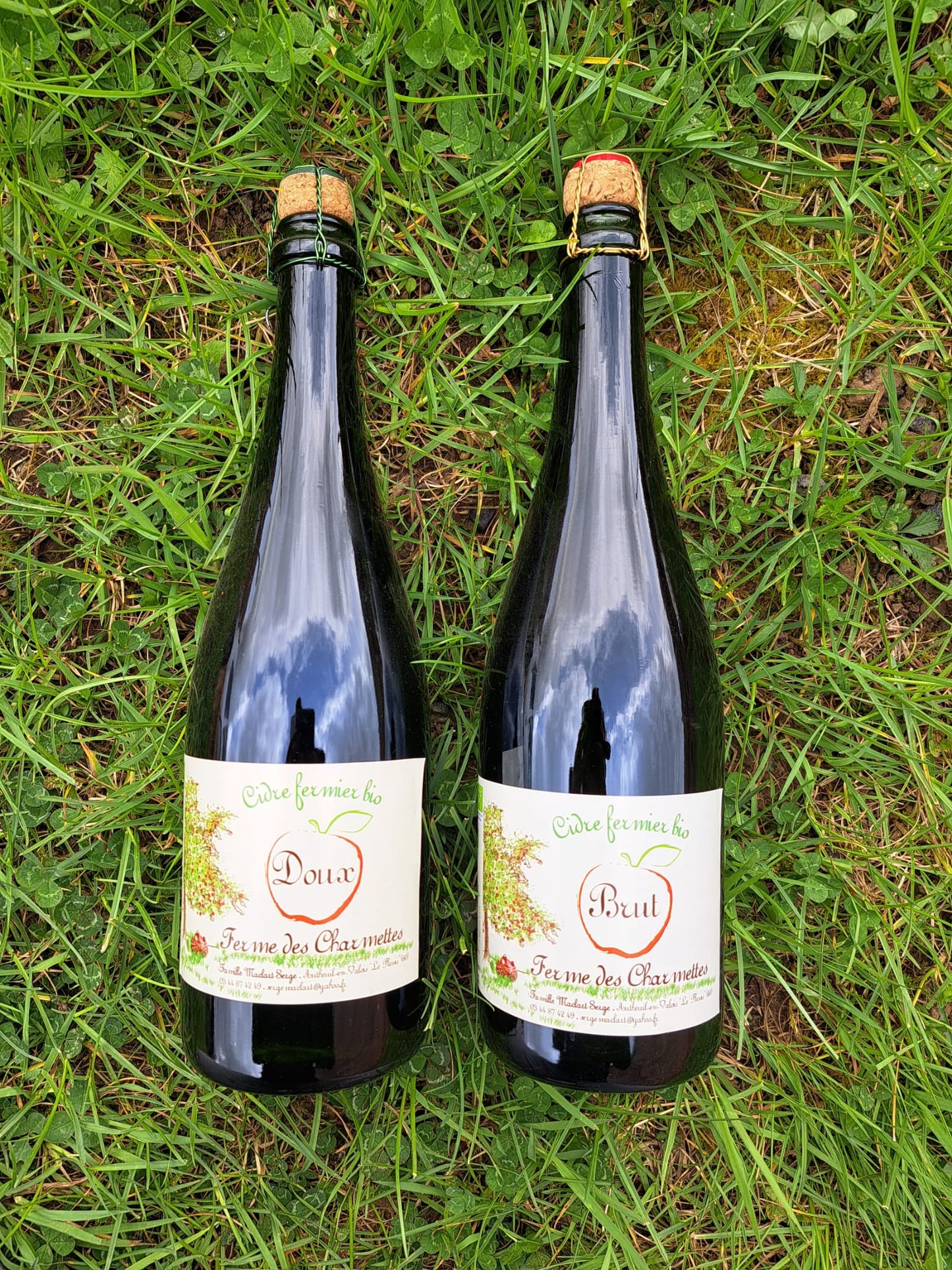 Cidres Fermier Bio
