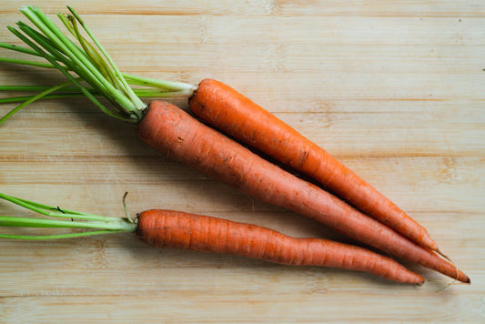 Carottes de conservation