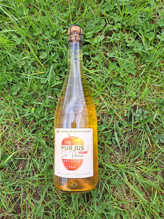 Jus de Pomme Pétillant (75 cl)