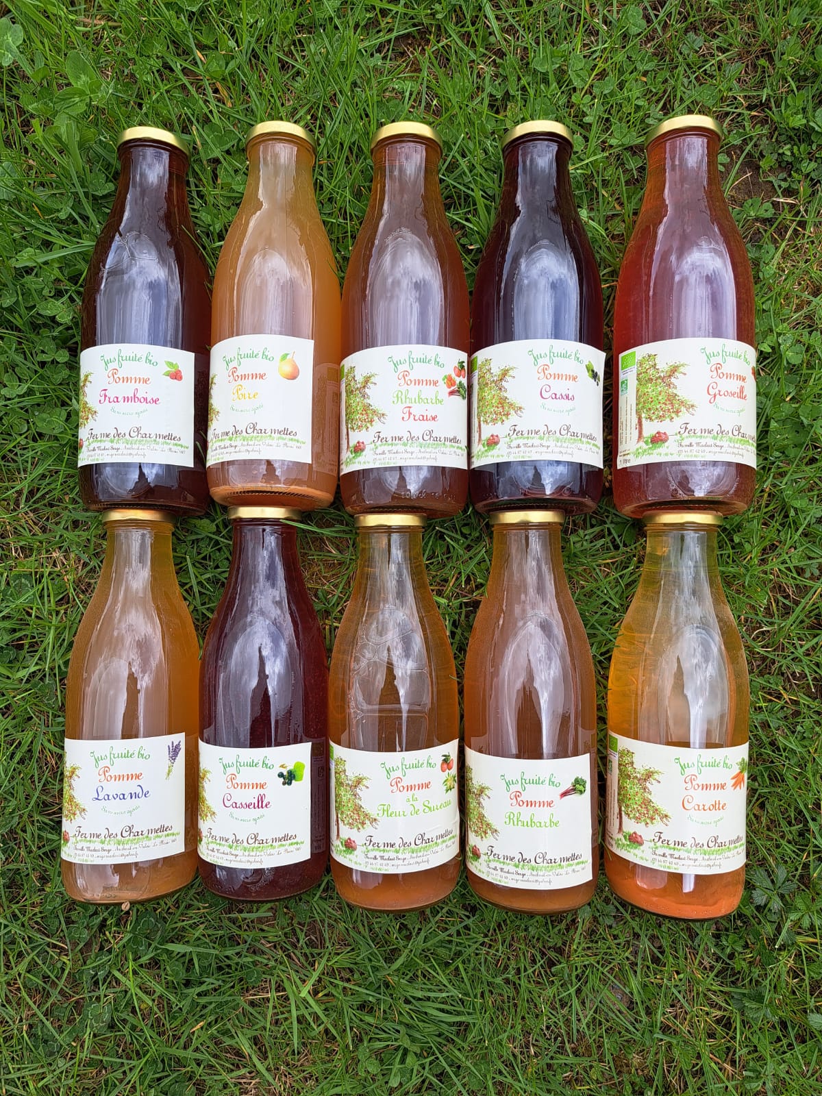 Jus de Pomme - Mélange (1 Litre)