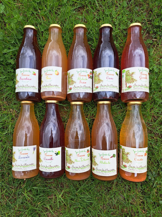 Jus de Pomme - Mélange (1 Litre)